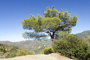 Similar image 21392053