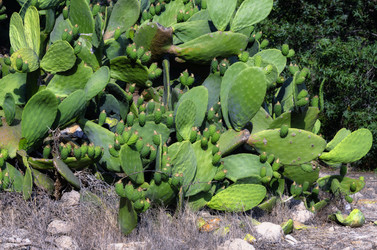 Similar image 21392264