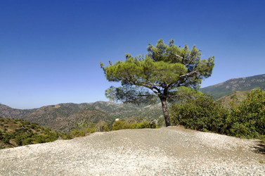 Similar image 21392266