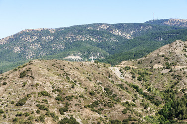 Similar image 21392268