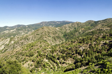 Similar image 21392558