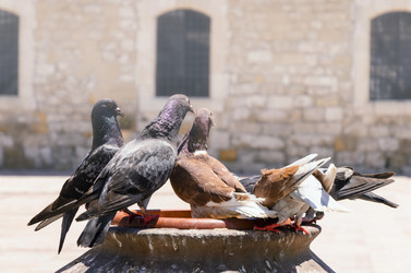 Similar image 21393248