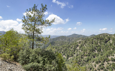 Similar image 21393251