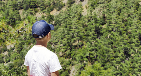 Similar image 21393512