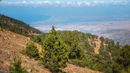 Similar image 21389717