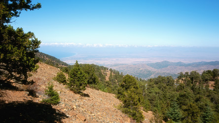 Similar image 21390040