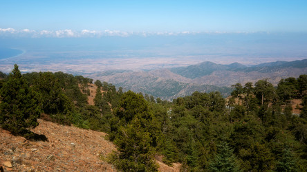 Similar image 21390044