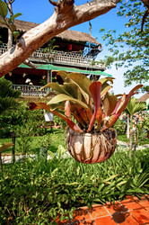 Similar image 21390055