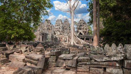 Similar image 21394389