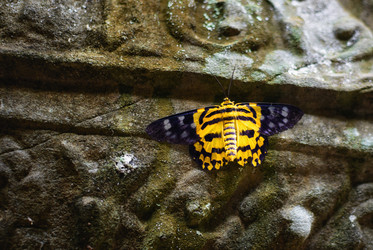 Similar image 21394636