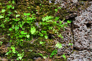 Similar image 21394637