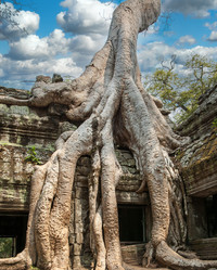 Similar image 21394638