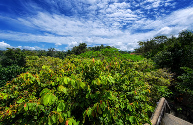 Similar image 21392060