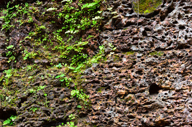 Similar image 21392275