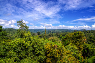 Similar image 21392276