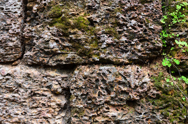 Similar image 21392572