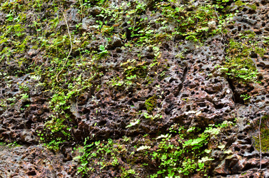 Similar image 21392573