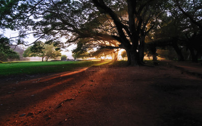 Similar image 21393523