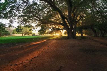 Similar image 21393769