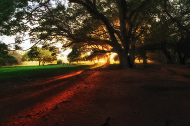 Similar image 21393774