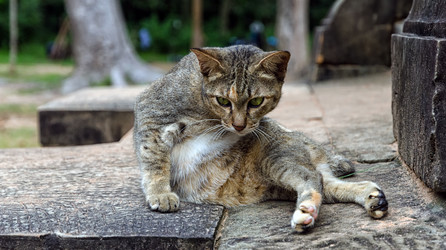 Similar image 21393776