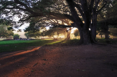 Similar image 21393777