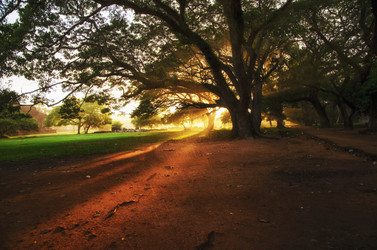 Similar image 21393779