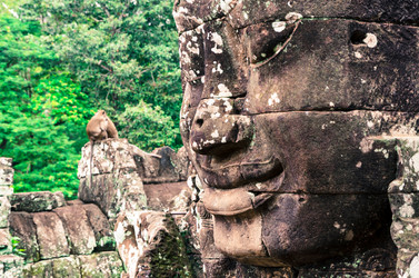 Similar image 21393780