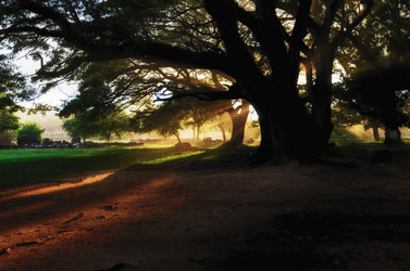 Similar image 21393922