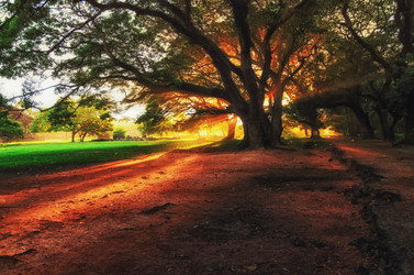 Similar image 21393923