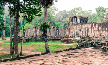 Similar image 21392577