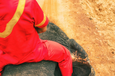 Similar image 21392582