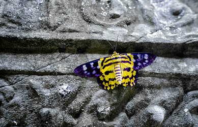 Similar image 21392949