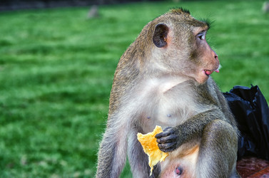 Similar image 21392288