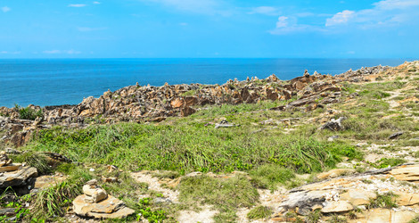 Similar image 21392289