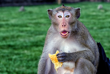 Similar image 21392290