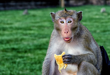 Similar image 21392583