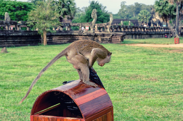 Similar image 21392957