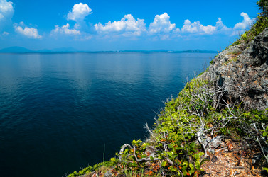 Similar image 21390068