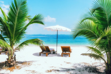 Similar image 21392588