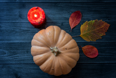 Similar image 21390079