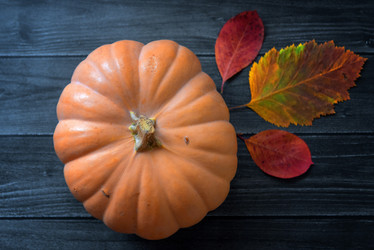 Similar image 21390087