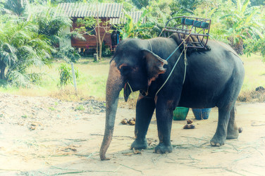 Similar image 21391294