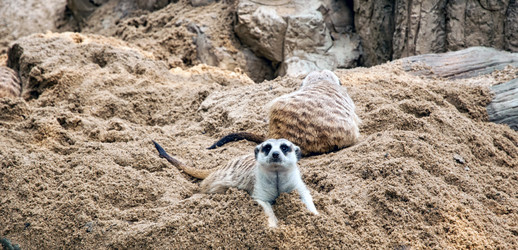 Similar image 21391298