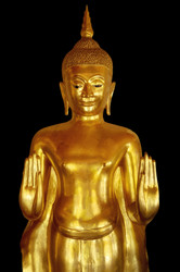 Similar image 21391805