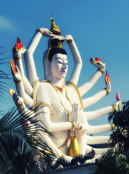 Similar image 21392294