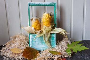 Similar image 21392295