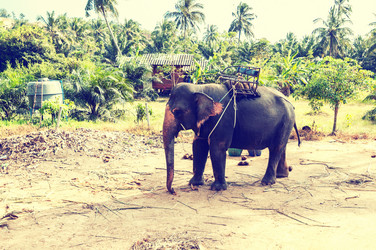 Similar image 21392590