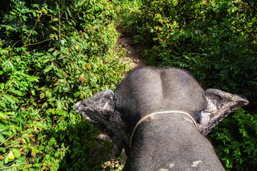 Similar image 21392980