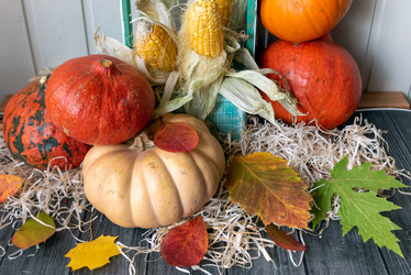 Similar image 21392987